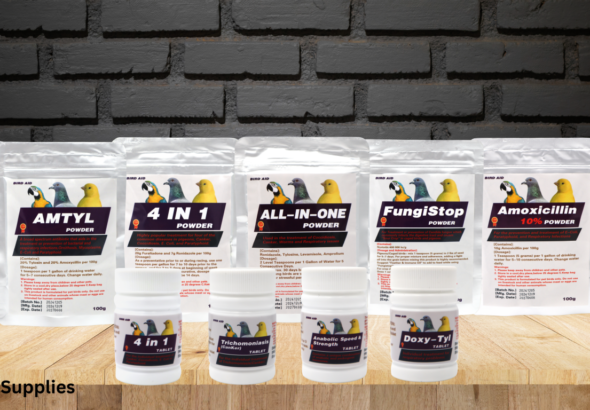 electrolytes for chickens