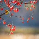 Timeless Foods for Modern Lifestyles