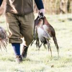 Arkansas guided duck hunt