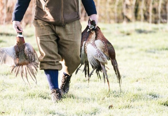 Arkansas guided duck hunt