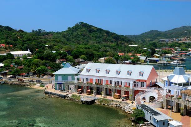 What Are the Best Hotels in Roatan for Every Budget?